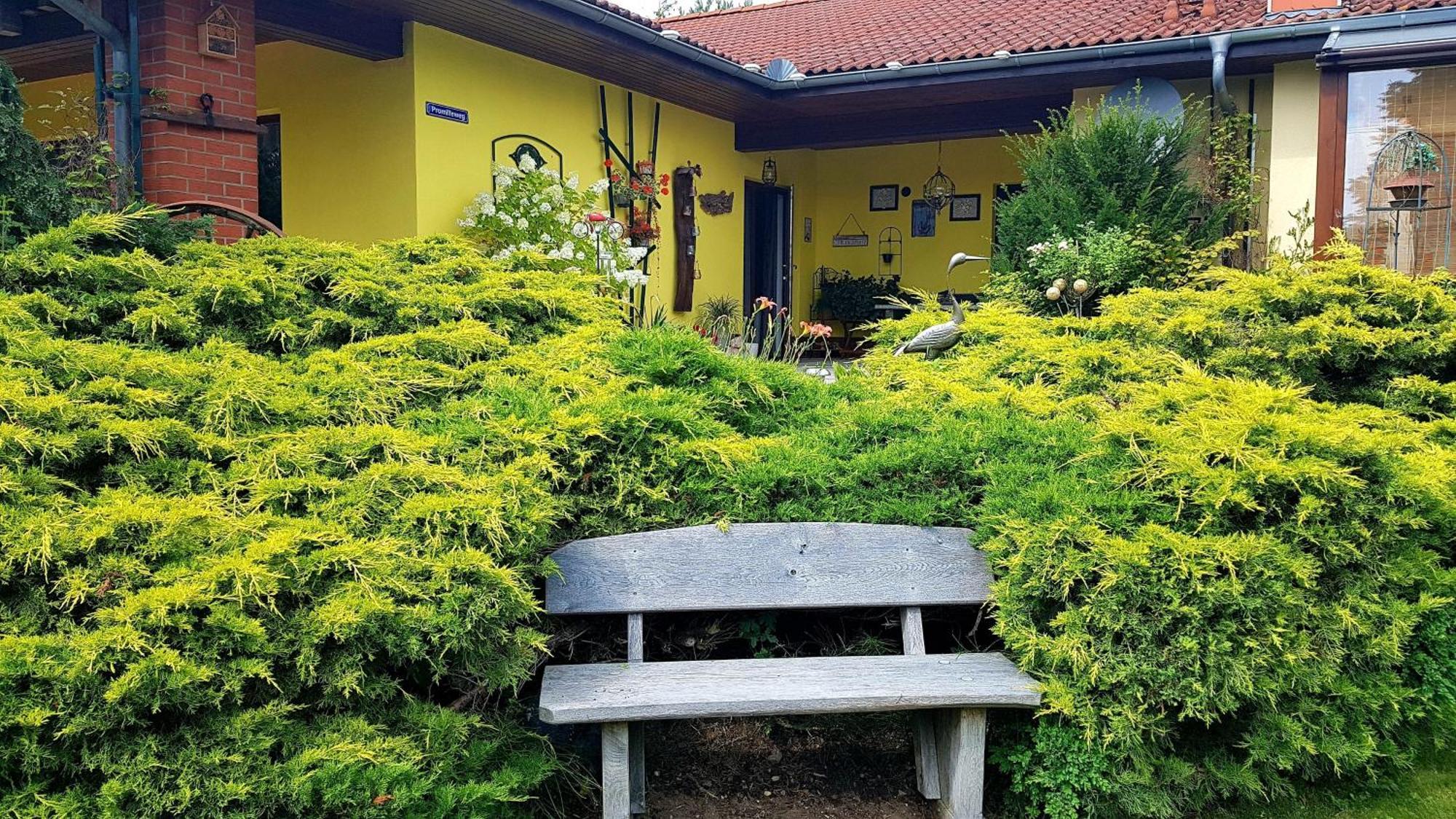 Ferienwohnung Guenther , 3 - Sterne Waren  Luaran gambar